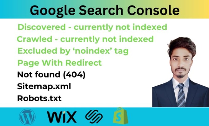 Gig Preview - Fix google search console, index coverage issues and technical seo errors