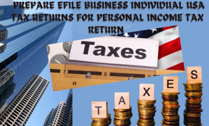 Gig Preview - Prepare efile business individual USA tax returns for personal income tax