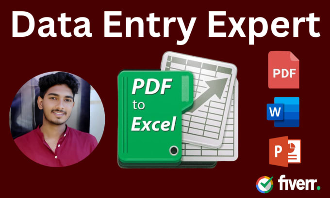 Gig Preview - Provide data entry, copy paste, pdf to excel and others