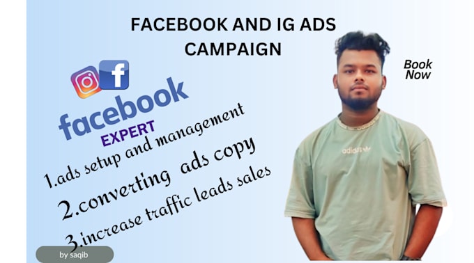 Gig Preview - Run facebook ads campaign