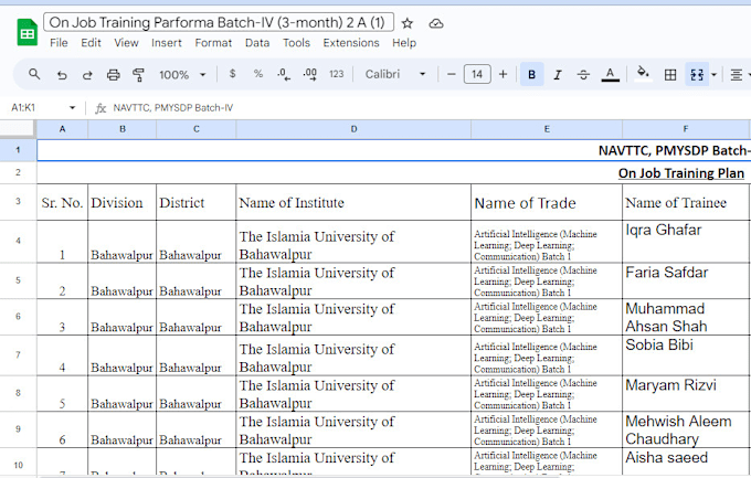 Gig Preview - Make a stunning personalized google sheet or excel spreadsheet for you