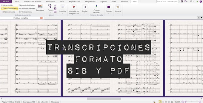 Gig Preview - Produce high quality transcriptions