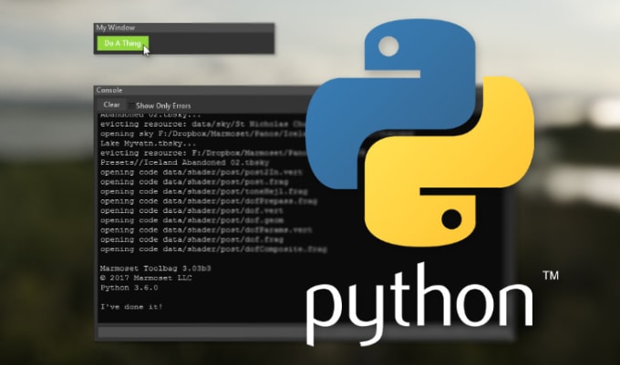 Gig Preview - Do python scripting, python projects and automation tasks