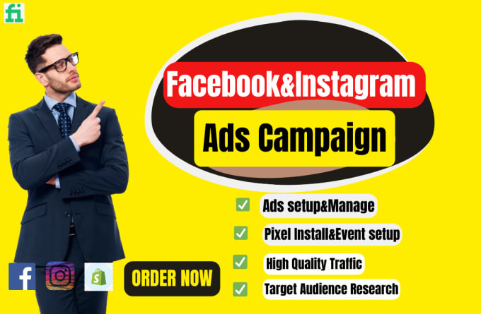 Gig Preview - Professional facebook and instagram ads campaign setup and management