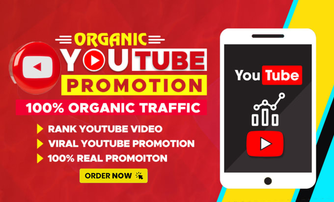 Gig Preview - Do organic youtube video promotion by social ads