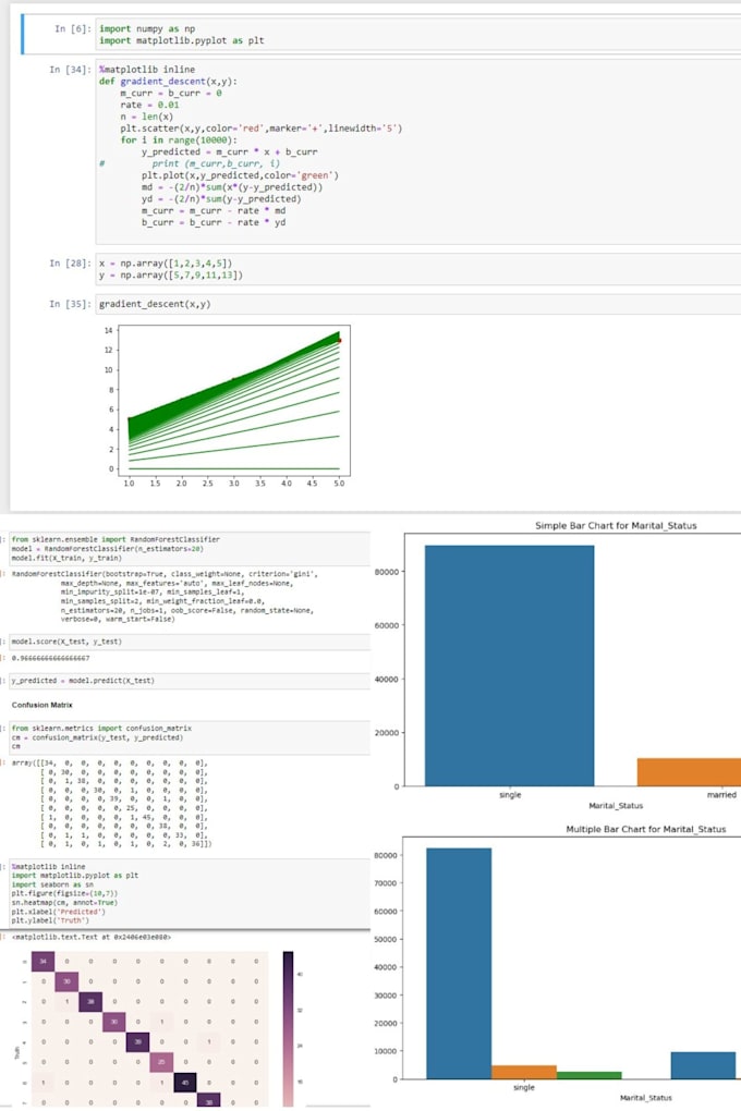 Gig Preview - Develop custom machine learning models and perform other relative tasks