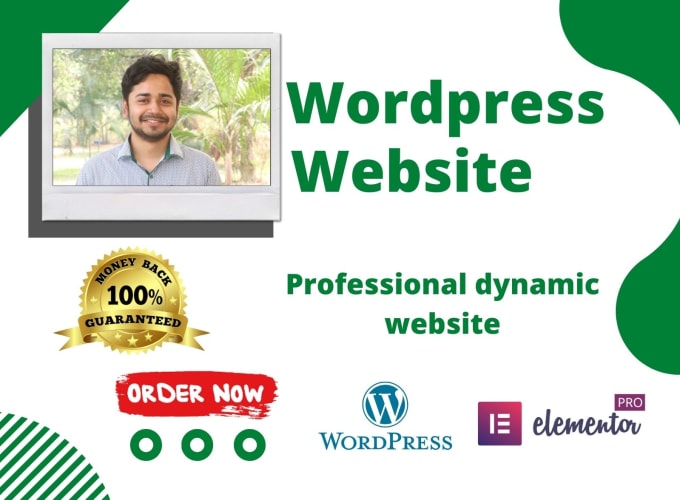 Gig Preview - Build a professional wordpress website and ecommerce website