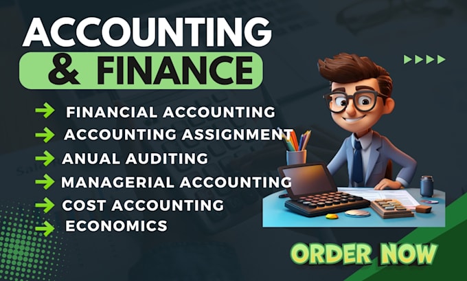 Gig Preview - Do accounting and finance assignments, excel spreadsheet projects and services