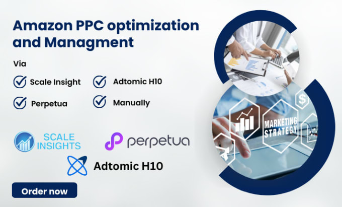 Gig Preview - Setup manage and optimize amazon fba PPC through perpetua and scale insight