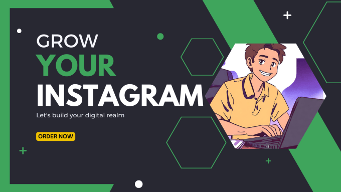 Gig Preview - Professionally grow your instagram account