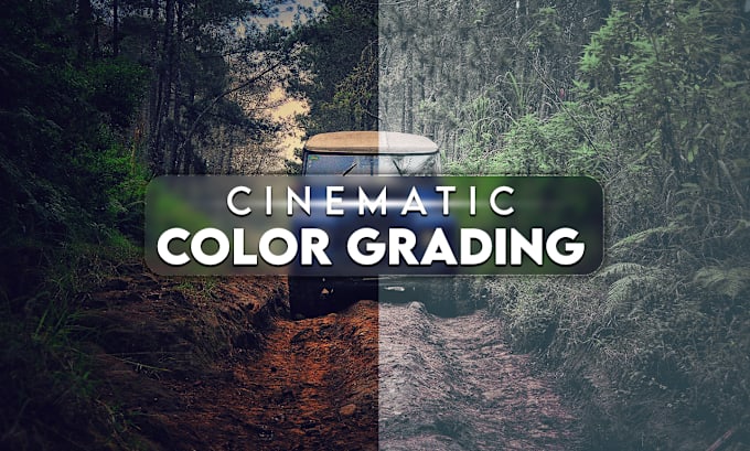 Gig Preview - Do professional video color grading, color correction, cinematic looks colorist