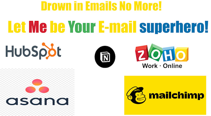 Gig Preview - Be best VA to boost your business with expert email marketing