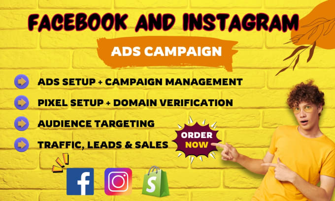 Gig Preview - Setup effective facebook ads campaign, fb advertising and instagram ads