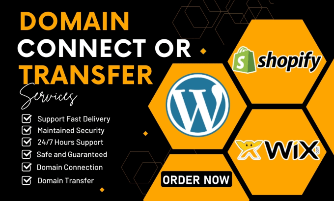 Gig Preview - Connect or transfer your domain to any website