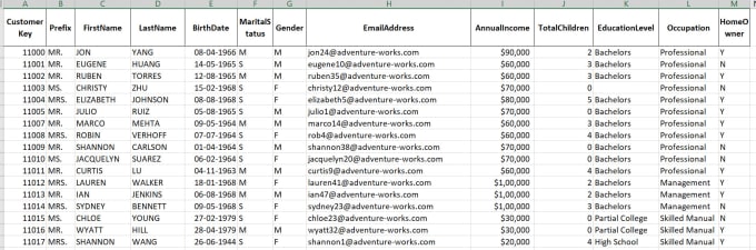 Gig Preview - Do excle data cleaning and remove duplicate data