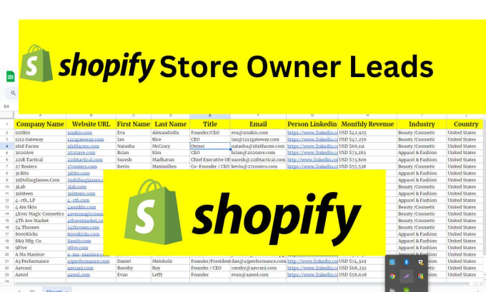 Gig Preview - Provide shopify ecommerce companys store owners verified contact lead list