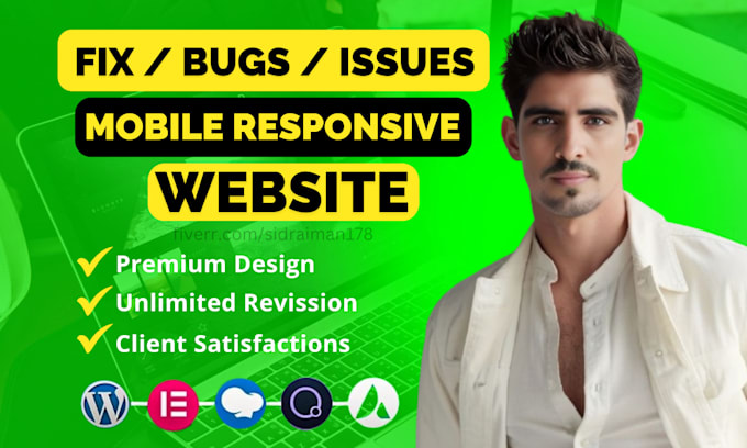 Gig Preview - Fix elementor error, elementor issue, elementor expert and fix wordpress issues