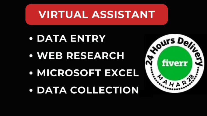 Gig Preview - Be your assistant in data entry and web research