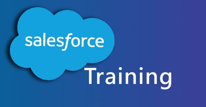 Gig Preview - Teach or train you salesforce admin and development