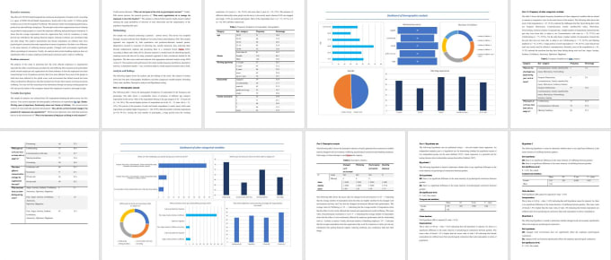 Gig Preview - Do statistical data analysis in spss with apa style report