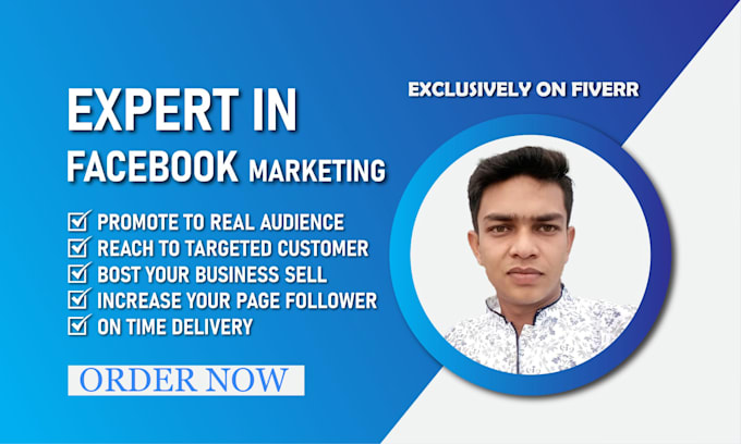 Gig Preview - Do facebook marketing and page promotion in USA