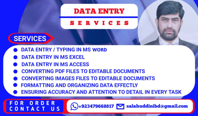 Gig Preview - Do data entry in excel, word, database, copy paste, web research