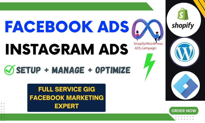 Gig Preview - Set up and manage your facebook ads and instagram ads for leads and sales