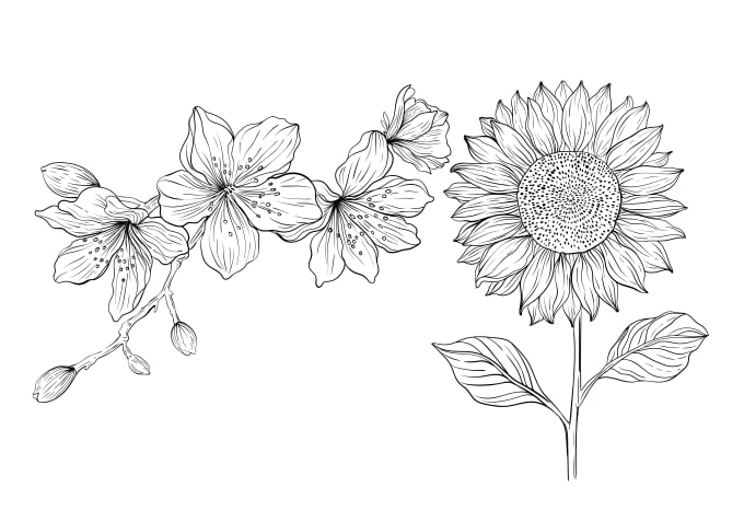 Gig Preview - Do floral line drawing illustration