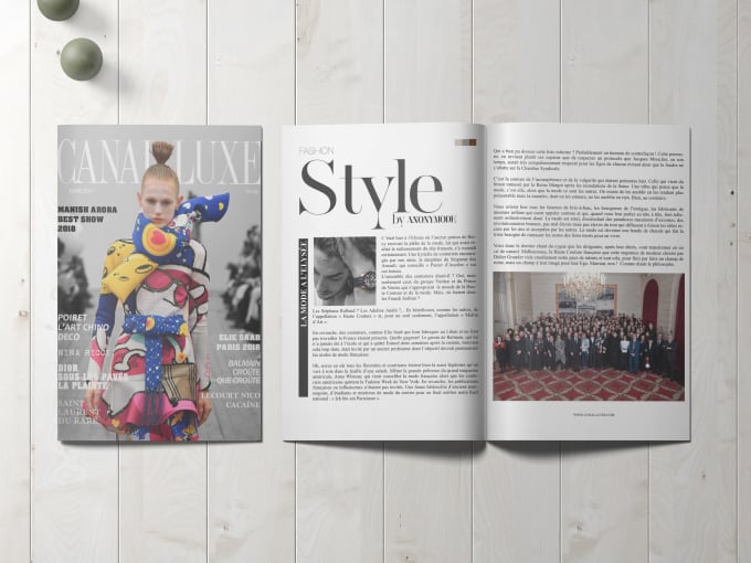 Gig Preview - Create custom magazine, ebook, and portfolio designs