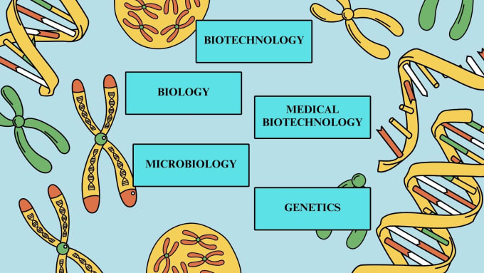 Gig Preview - Make power point presentations in biology, biotechnology