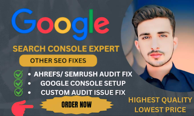 Gig Preview - Fix google search console semrush, ahrefs site audit