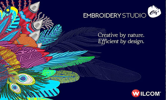 Gig Preview - Install wilcom embroidery studio  software on your windows 10,11