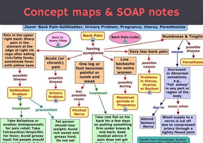 Gig Preview - Create a nursing concept map, soap note, and progress notes