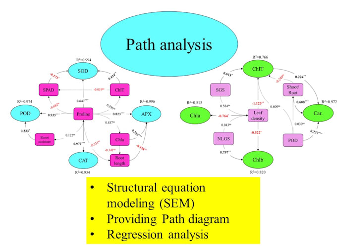 Gig Preview - Do structural equation modeling SEM with amos and smartpls