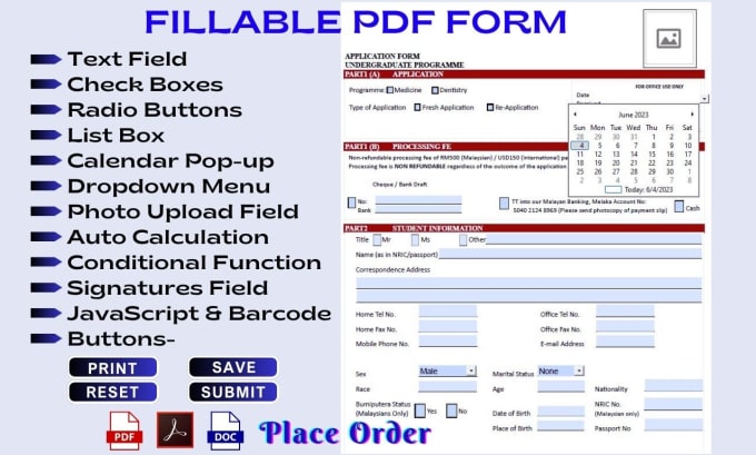 Gig Preview - Professionally create fillable PDF form and redesign PDF form