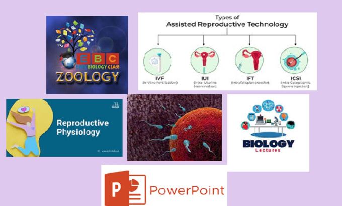 Gig Preview - Make ppt, lecture on physiology, assisted reproductive techniques, zoology