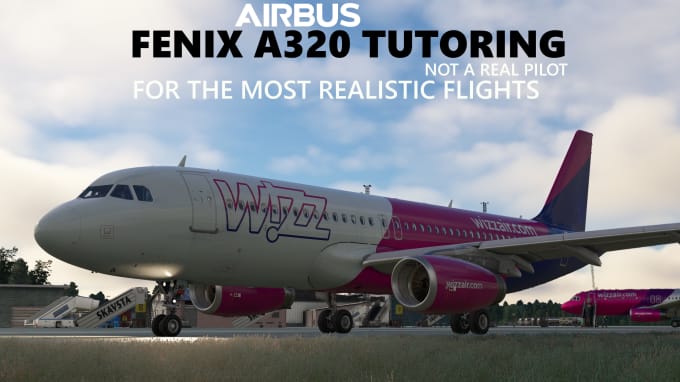 Gig Preview - Teach you how to fly the fenix a320 realistically