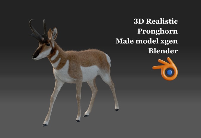 Gig Preview - Create realistic animal model 3d animal fur xgen texture game film 3d printing