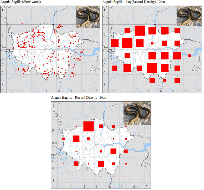 Gig Preview - Do all you need in mapmate