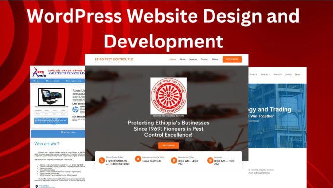 Gig Preview - Design and develop a wordpress website