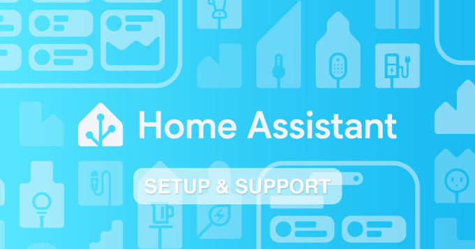 Gig Preview - Help setup home assistant or give you support