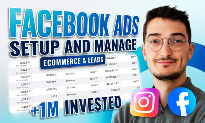 Gig Preview - Setup, manage and optimize your facebook and instagram ads