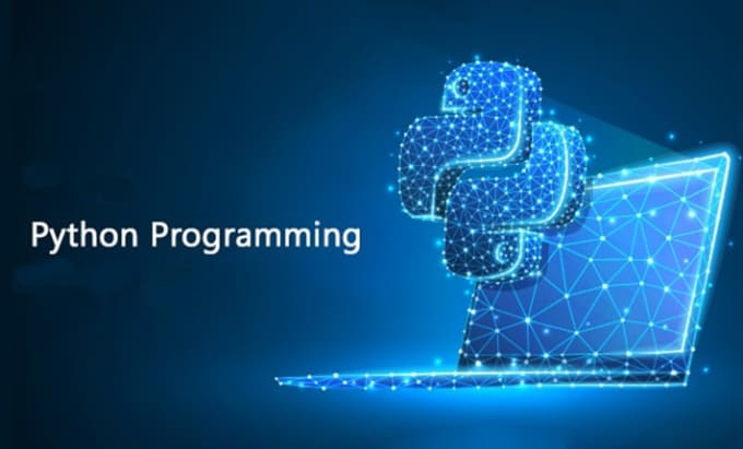 Gig Preview - Program or debug your python scripts