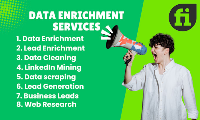 Gig Preview - Provide data enrichment, data cleaning, and lead enrichment services