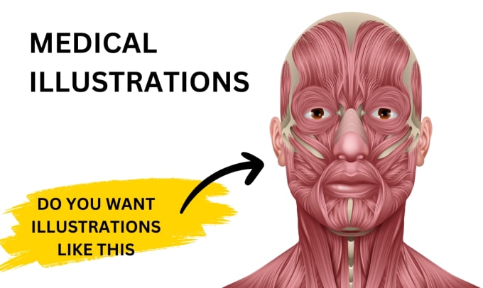 Gig Preview - Medical illustration and scientific graphics