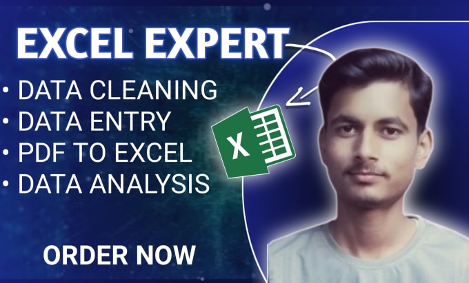 Gig Preview - Do urgent excel data cleaning, data entry, pdf to excel