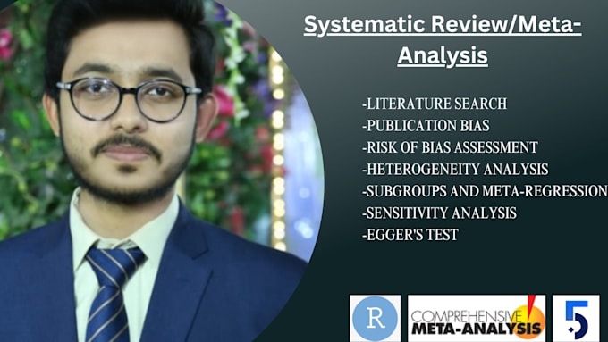 Gig Preview - Do precise systematic review and meta analysis