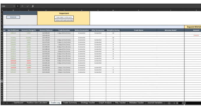 Gig Preview - Create crypto fx trading journal