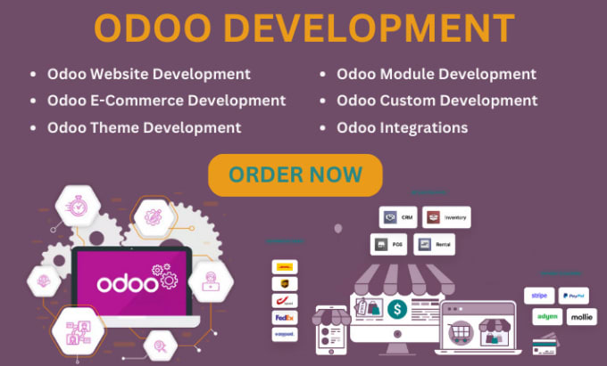 Gig Preview - Design, develop and customize an odoo website for you