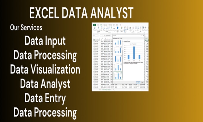 Gig Preview - Be your data analyst and excel dashboard expert